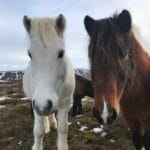 Náma (and Óli magg)